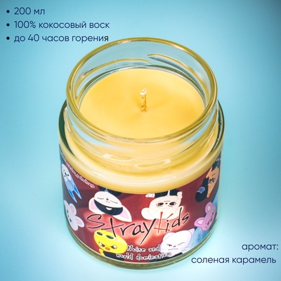 Ароматическая свеча. Stickerpachechnaya x SHKOT. StrayKids (200 мл)