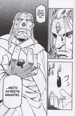 Стальной Алхимик. Книга 9