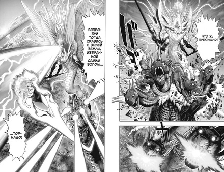 One-Punch Man. Книга 14