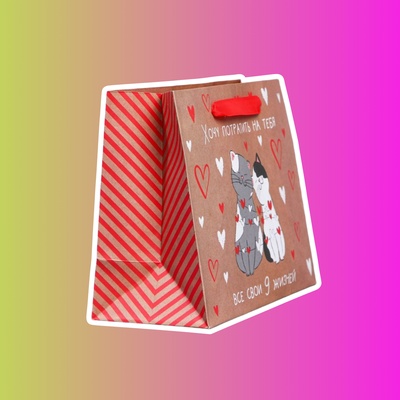 Пакет крафтовый горизонтальный «Потрачу девять жизней»