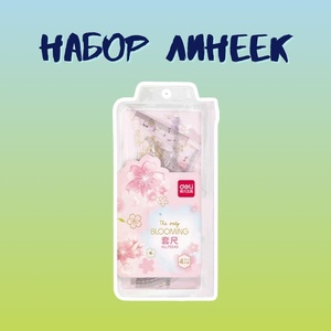 Набор линеек Deli "Сакура"