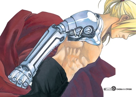 Стальной Алхимик. Кн.14