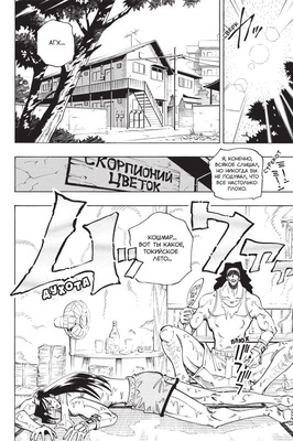 Король шаманов. Том 4.