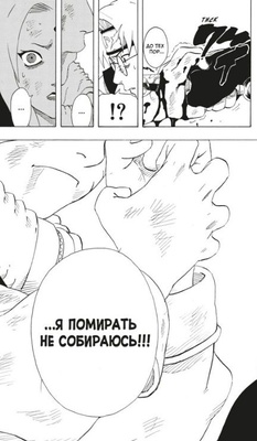 Naruto. Наруто. Книга 7. Наследие
