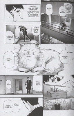 Токийский гуль. Книга 6