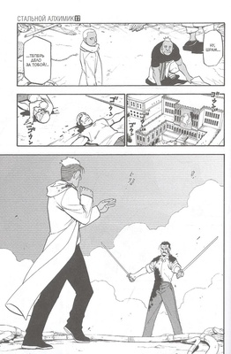 Стальной Алхимик. Книга 17