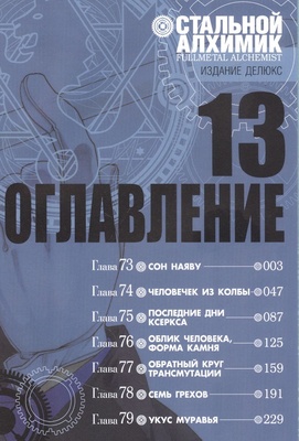 Стальной Алхимик. Книга 13